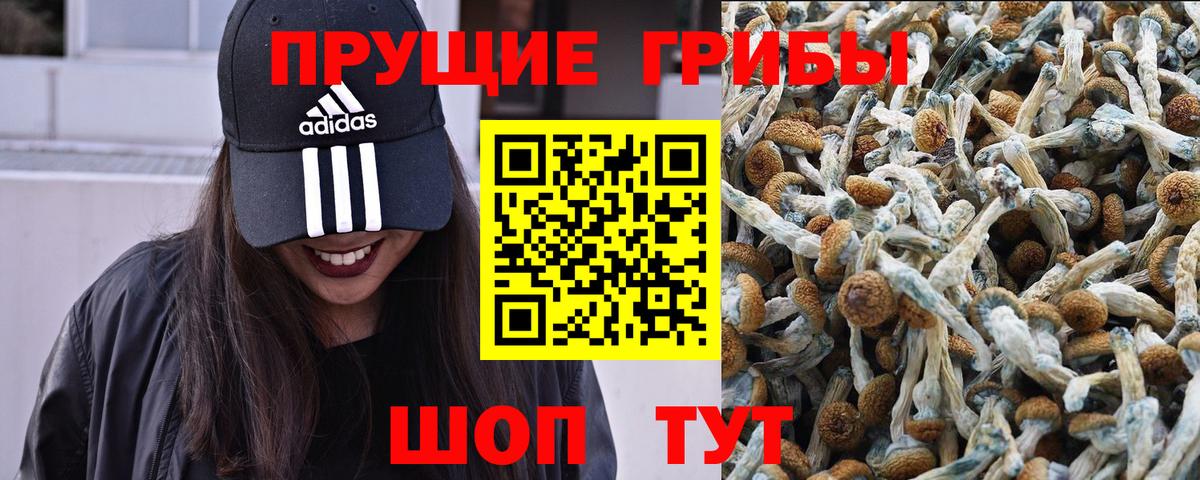 Псилоцибиновые грибы GOLDEN TEACHER Фурманов